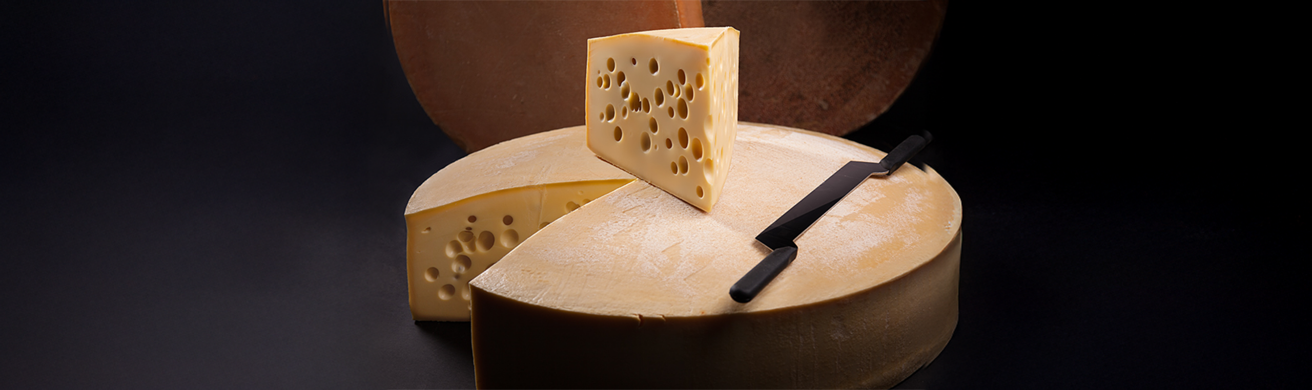 Header Alma Emmentaler