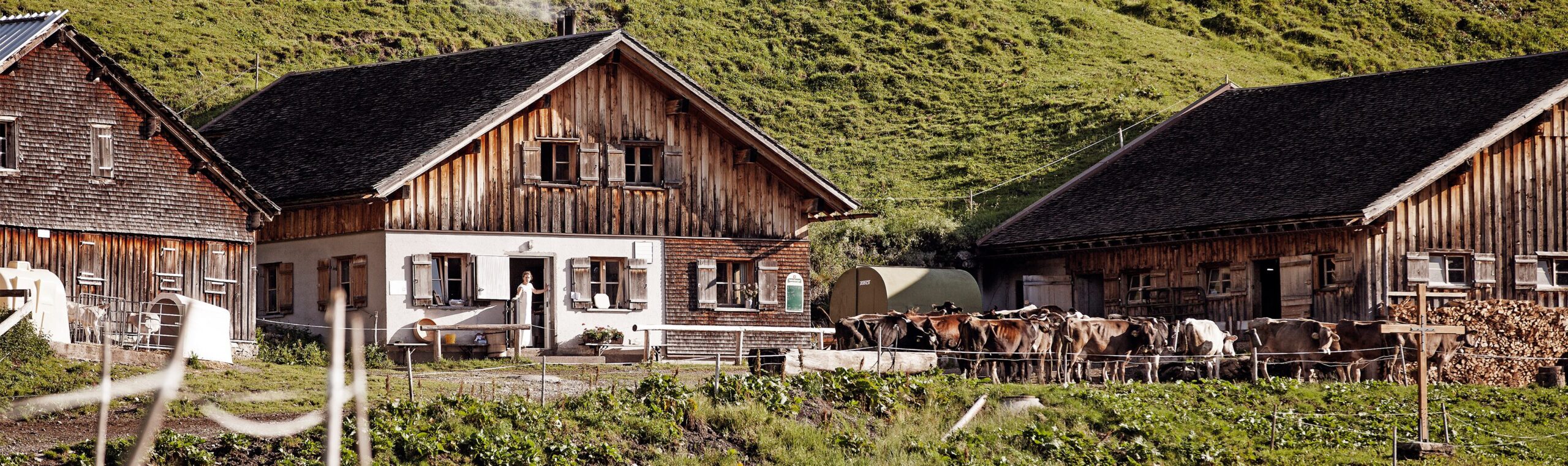 Sennalpe Vorarlberg