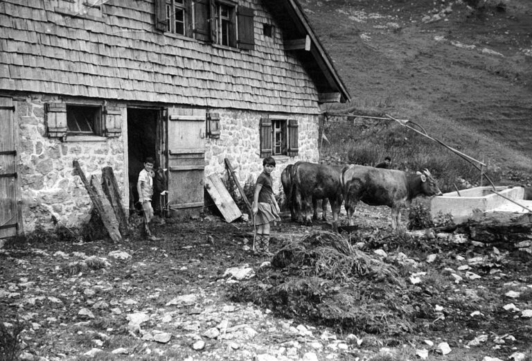 Alpe Geisstobel