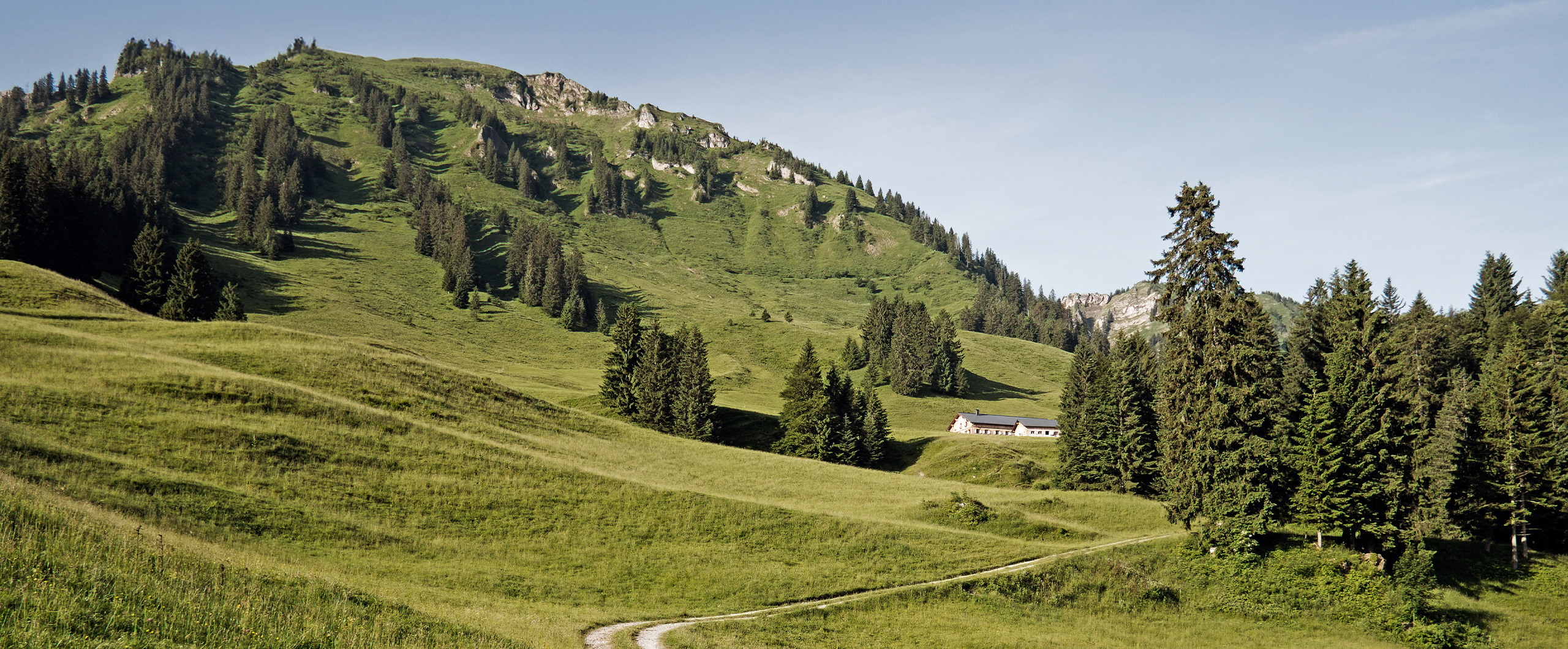 Header Alpe Andlisbrongen Schetteregg