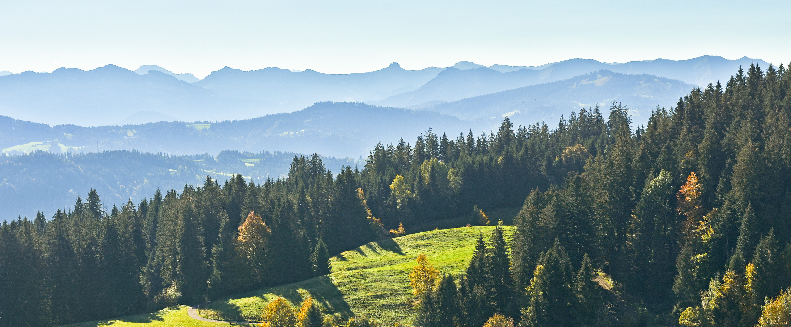 Blick vom Pänder in den Bregenzerwald